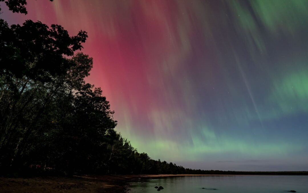 MAS Happenings – September 24 2024